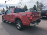 New 2025 Ford F150 XLT w/ Equipment Group 302A MID image 5