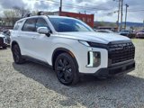 New 2025 Hyundai Palisade XRT image 4