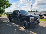 New 2025 Ford F350 Platinum image 3