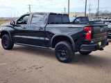 New 2025 Chevrolet Silverado 1500 ZR2 w/ ZR2 Bison Edition image 5