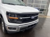 New 2025 Ford F150 XLT w/ Equipment Group 302A MID image 5