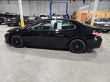 Used 2018 Toyota Camry LE w/ Protection Package (Q2) image 6