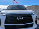 New 2025 INFINITI QX80 Sensory w/ Premium Cargo Package image 2