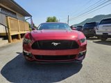Used 2017 Ford Mustang GT w/ Enhanced Security Package image 5