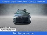 New 2025 Hyundai Palisade XRT image 3