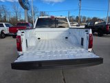 New 2025 Ford F150 XLT w/ Equipment Group 302A MID image 5