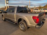 Used 2024 Ford F150 XLT image 4