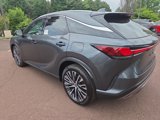 New 2025 Lexus RX 350 Premium Plus image 4