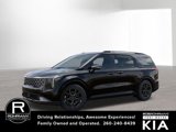 New 2026 Kia Carnival SX Prestige image 3