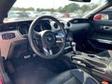 Used 2017 Ford Mustang Premium w/ Enhanced Security Package image 4