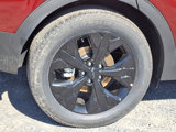 New 2025 Kia Sportage X-Line image 5