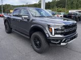 New 2025 Ford F150 Raptor image 4