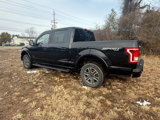 Used 2016 Ford F150 XLT w/ Equipment Group 302A Luxury image 3