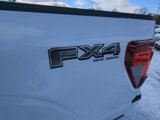 New 2025 Ford F150 XLT w/ Equipment Group 302A MID image 5