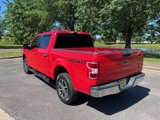 Used 2019 Ford F150 XLT w/ Equipment Group 301A Mid image 3
