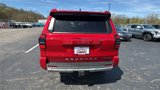 New 2025 Toyota 4Runner Limited image 4
