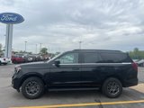 New 2025 Ford Expedition Active image 2