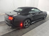 Used 2024 Ford Mustang Convertible image 4