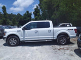 Used 2019 Ford F150 XLT w/ Equipment Group 302A Luxury image 3