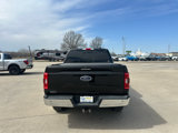 Used 2021 Ford F150 XLT w/ Equipment Group 302A High image 5