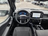 Used 2024 Ford F150 STX image 2