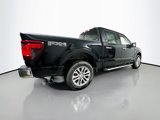 New 2025 Ford F150 XLT image 6