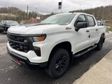 New 2025 Chevrolet Silverado 1500 Custom Trail Boss image 3