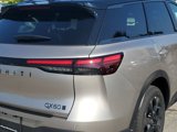 New 2026 INFINITI QX60 Autograph w/ Dark Cargo Package image 5