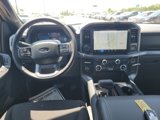 New 2025 Ford F150 XLT image 3