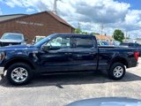Used 2023 Ford F150 XLT w/ Equipment Group 301A Mid image 4
