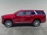New 2025 Cadillac Escalade Premium Luxury Platinum image 2
