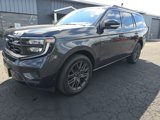 New 2025 Ford Expedition Platinum image 3