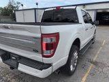 Certified 2023 Ford F150 Limited image 4