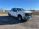 New 2025 Ford F250 XL w/ XL Chrome Package image 4