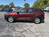 Used 2021 Ford Escape S image 5