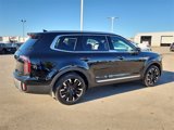New 2025 Kia Telluride SX image 2