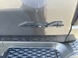 New 2025 RAM 1500 Rebel w/ Rebel Level 1 Equipment Group image 4