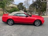 Used 2011 Ford Mustang Premium w/ 201A Rapid Spec Order Code image 3