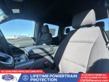 New 2025 Ford F150 XLT w/ Equipment Group 302A MID image 4