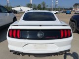 Used 2019 Ford Mustang GT Premium w/ Equipment Group 401A image 4