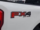 New 2025 Ford F250 4x4 Crew Cab Super Duty image 5