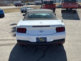 Used 2024 Ford Mustang Premium image 6