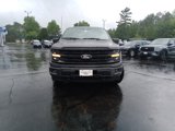 New 2025 Ford F150 XLT image 4