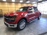New 2025 Ford F150 XLT w/ Equipment Group 303A High image 3