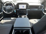 New 2025 Ford F150 STX w/ STX Black Appearance Package image 5