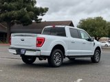 Certified 2021 Ford F150 XLT w/ Equipment Group 302A High image 6