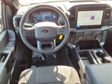 New 2025 Ford F150 STX w/ STX Black Appearance Package image 5