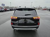 New 2025 Ford Escape Active w/ Tech Pack #1 image 4