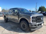 New 2025 Ford F250 Platinum image 3