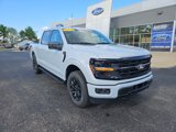 New 2025 Ford F150 XLT image 2